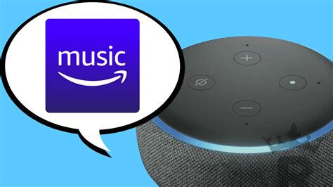 Why Won't Alexa Play Music, and the Enigmatic World of Digital Audio Troubleshooting